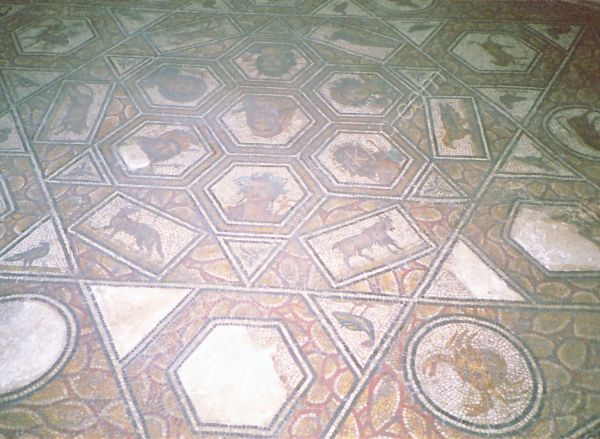 Roman Mosaic Floor, Carthage